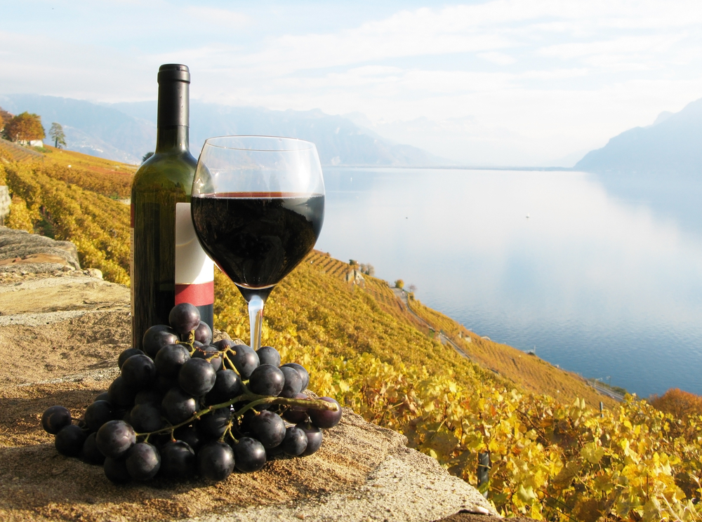Weinreisen - Tauchen Sie ein in die Kultur des Weins 