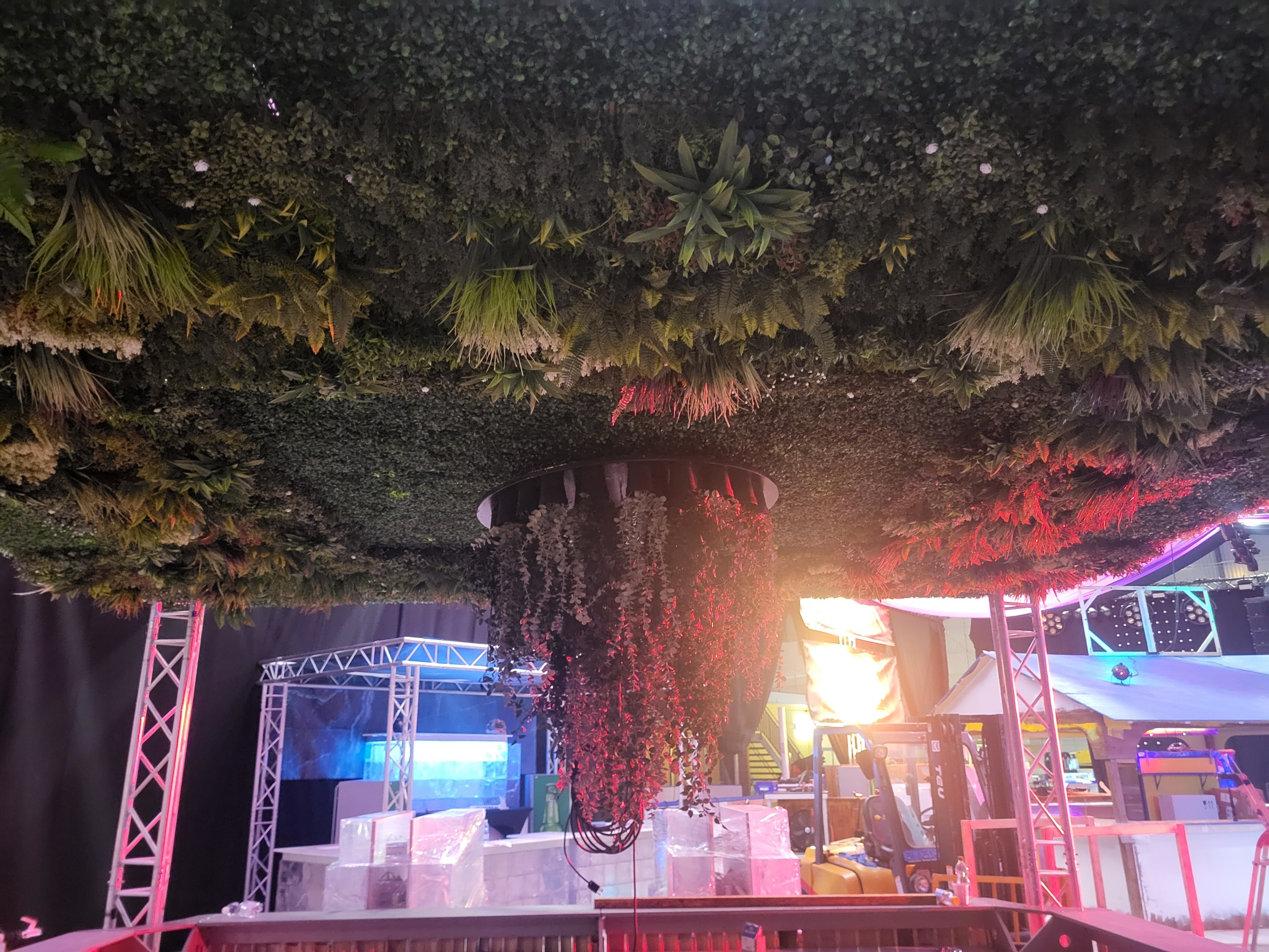 Grüne Decke mit Pflanzen und Lichtern. Barfestival organisieren Tipps: Planung in der Schweiz